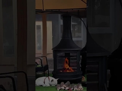 Estufas de leña para calefacción y cocción con precio al por mayor